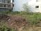 Block C, Sushant Lok Phase 1 Plot View 2