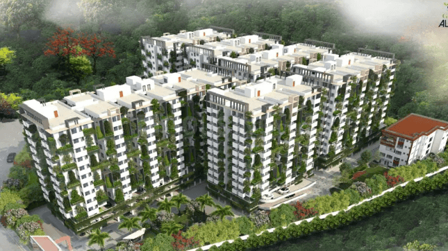 Green Alpha Main Image 1