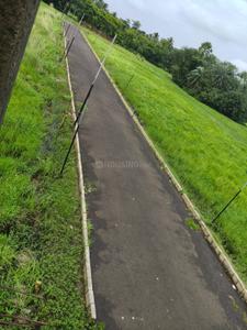 Jelepara Plot View 2