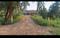 Bihta Plot View 2