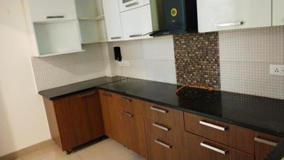 Kitchen Image of 1550 Sq.ft 3 BHK Builder Floor for rent in Big Block South City 2, Sector 49 Gurgaon for Rs. 50000