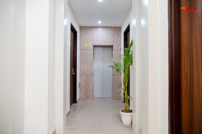 Image of 700 Sq.ft 1 BHK Builder Floor for rent in Sector 54, Gurgaon for Rs. 64000