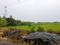 Golden city 2 Sonarpur plot Main Image 1