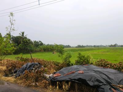 Golden city 2 Sonarpur plot Plot View 1