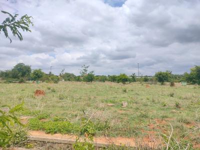 VGS LANDMARK Plot View 2