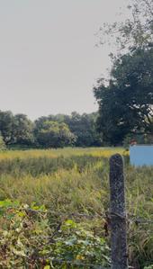 Image of 900 Sq.ft Residential Plot / Land for sale in Vikasnagar, Dehradun for Rs. 2500000