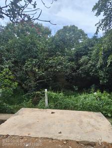 Image of 1855 Sq.ft Residential Plot / Land for sale in Harapanahalli, Bengaluru for Rs. 7883750