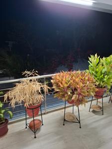 Balcony Image of 2350 Sq.ft 4 BHK Independent House for sale in Thookkukulam Alappuzha for Rs. 16000000