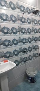 Bathroom Image of 300 Sq.ft 1 BHK Duplex for rent in Toph Sherkhanian Jammu for Rs. 7000