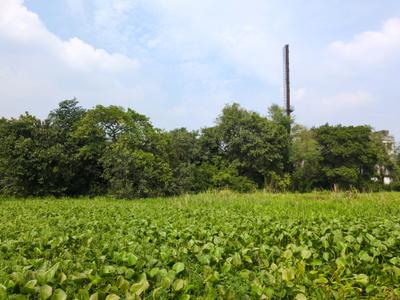 Image of 720 Sq.ft Residential Plot / Land for sale in Wander Valley, Joka, Kolkata for Rs. 250007
