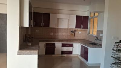 Kitchen Image of 1400 Sq.ft 2 BHK Builder Floor for rent in Omicron III Greater Noida for Rs. 20000
