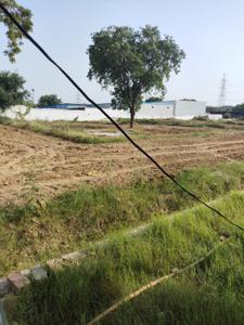 Khera Choganpur Plot View 3