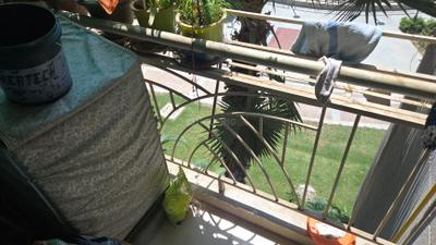 Image of 840 Sq.ft 2 BHK Apartment / Flat for sale in Aditya Urban Homes, Bamheta Village, Ghaziabad for Rs. 4700000