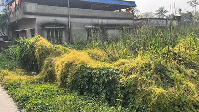 Image of 6200 Sq.ft Residential Plot / Land for sale in Baruipur, Kolkata for Rs. 4500000