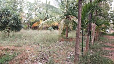 Image of 67518 Sq.ft Residential Plot / Land for sale in Harohalli, Ramnagara, Bengaluru for Rs. 43400000