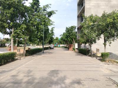 BPTP District 6 Block L Internal Roads 2
