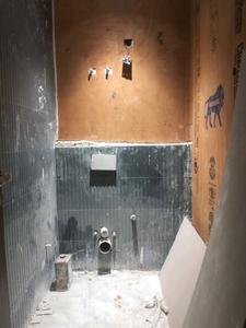 Common Bathroom Image of 3980 Sq.ft 4 BHK Builder Floor for sale in Vikaspuri New Delhi for Rs. 90000000