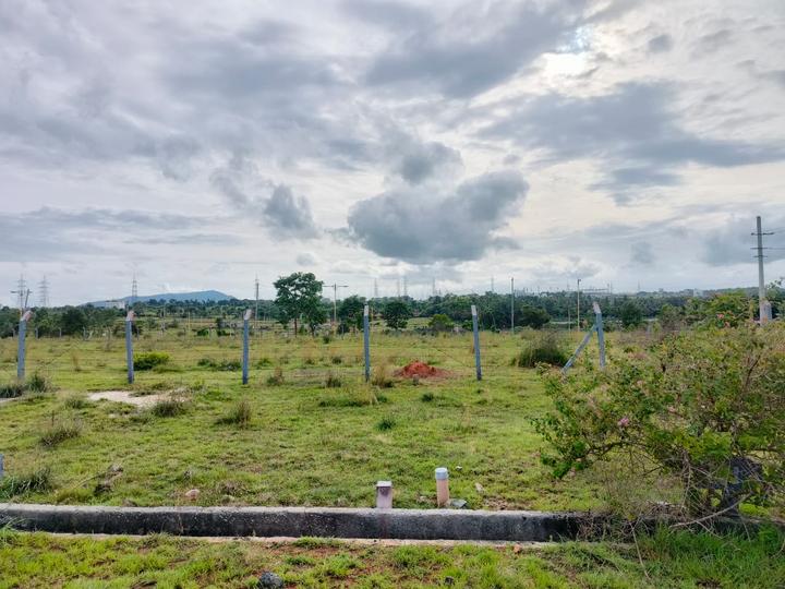 Vajamangala Main Image 1