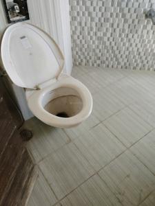 Common Bathroom Image of 3300 Sq.ft 3 BHK Apartment / Flat for sale in RT Nagar Bengaluru for Rs. 67500000