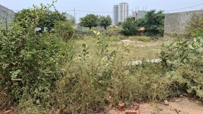 Image of 162 Sq.ft Residential Plot / Land for sale in Residential Authority Plots, Noida Extension, Greater Noida for Rs. 29500000