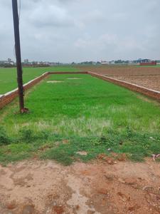Karaundi Plot View 2