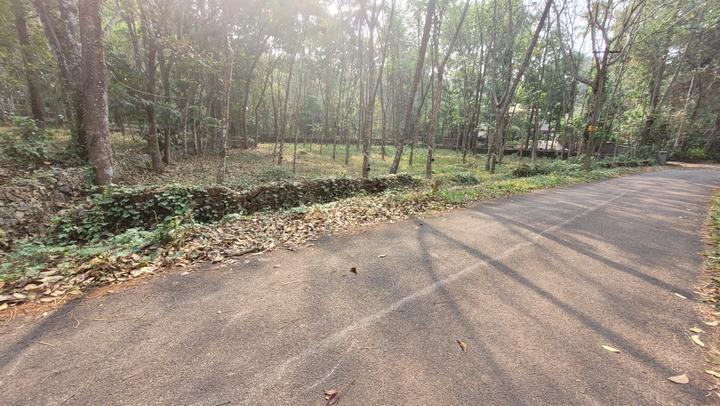 Piravom Main Image 1