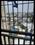 KGS Prime Rose Balcony 1