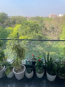 Balcony Image of Ritu's All Girls PG in GTB Nagar, New Delhi