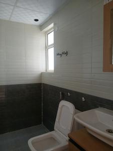 Common Bathroom Image of 700 Sq.ft 3 BHK Apartment / Flat for rent in Sector 108 Gurgaon for Rs. 18000