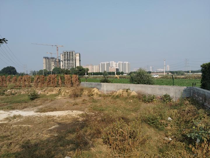 Skywhales Vienna Greens II Main Image 1