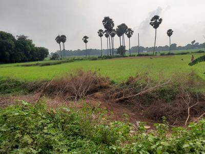 Image of 1200 Sq.ft Residential Plot / Land for sale in Naubatpur, Patna for Rs. 1440000