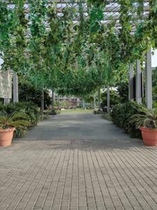 Image of 2088 Sq.ft 3 BHK Apartment / Flat for sale in Godrej Woods, Sector 43, Noida for Rs. 41500000