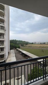 Balcony Image of 1700 Sq.ft 3 BHK Apartment / Flat for rent in Maxxus Elanza, PR7 Airport Road Zirakpur for Rs. 40000