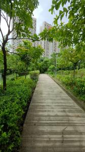 Image of 850 Sq.ft 3 BHK Apartment / Flat for sale in Godrej Meadows Phase 2, Mahalunge, Pune for Rs. 12500000