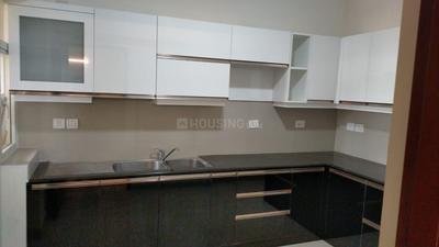 Kitchen Image of 2512 Sq.ft 3.5 BHK Apartment / Flat for rent in Marine Drive Kochi for Rs. 125000