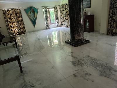 Hall Image of 6000 Sq.ft 7 BHK Independent House for sale in Lake Gardens Kolkata for Rs. 90000000
