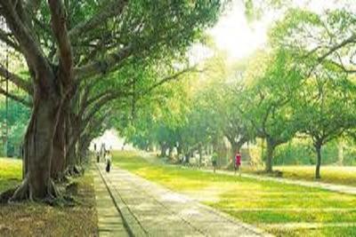 Image of 1105 Sq.ft 2 BHK Apartment / Flat for sale in Lodha Amara, Kolshet, Thane for Rs. 9800000