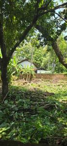 Image of 1742 Sq.ft Residential Plot / Land for sale in Feroke, Kozhikode for Rs. 2720000