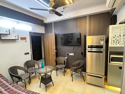 Hall Image of 530 Sq.ft 1 BHK Apartment / Flat for rent in Gaurs 14th Avenue, Noida Extension Greater Noida for Rs. 23000