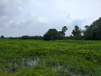 Image of 1800 Sq.ft Residential Plot / Land for sale in Joka, Kolkata for Rs. 425070
