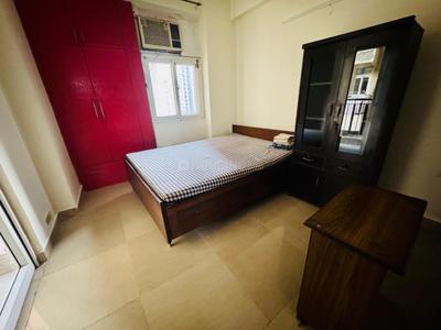 Bedroom Image of 915 Sq.ft 2 BHK Apartment / Flat for rent in Amrapali Princely Estate, Sector 76 Noida for Rs. 35000
