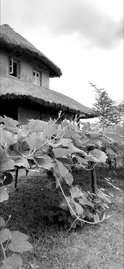 Santiniketan Main Image 1