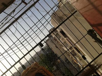 Balcony Image of 345 Sq.ft 1 BHK Apartment / Flat for sale in Vavdi Rajkot for Rs. 1200000