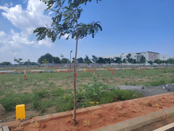 Grand magnum Nemra Main Image 1