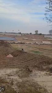 Image of 100 Sq.ft Residential Plot / Land for sale in Jaundhi, Jhajjar for Rs. 5500000