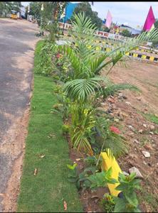 Image of 800 Sq.ft Residential Plot / Land for sale in Sevvapet, Chennai for Rs. 2239200