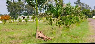 Image of 10000 Sq.ft Residential Plot / Land for sale in Patan, Durg for Rs. 3906000