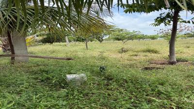 Image of 4352 Sq.ft Residential Plot / Land for sale in Kothur, Kandukur, Hyderabad for Rs. 5323516
