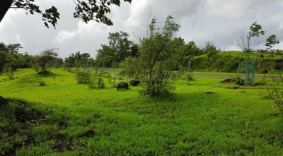 Image of 10000 Sq.ft Residential Plot / Land for sale in Khandad, Raigad for Rs. 350000