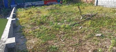 Chalikkavattom Plot View 2